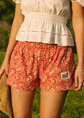 Boxer - Berry